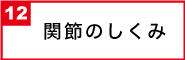 関節のしくみ