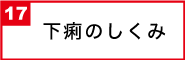 下痢のしくみ