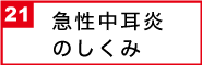 急性中耳炎のしくみ