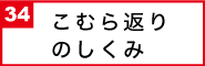 こむら返りのしくみ