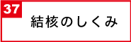 結核のしくみ