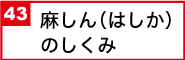 麻しん（はしか）のしくみ