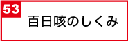 百日咳のしくみ