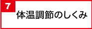 体温調節のしくみ