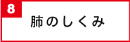 肺のしくみ