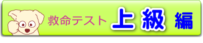 上級編