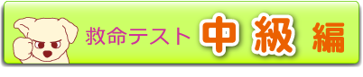 中級編