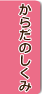 からだのしくみ